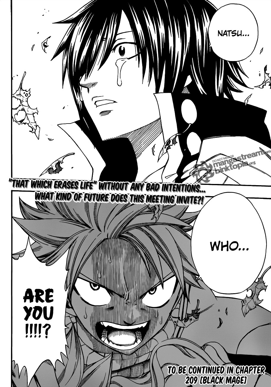 Fairy Tail Chapter 208 19